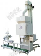 ���P��ԄӰ��b�ӳ��S�r